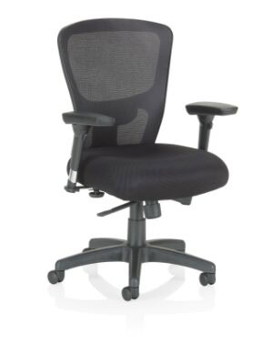 Breathe Jr Chair w/ arms: black ergonomic office chair with mesh back, adjustable armrests, and cushioned seat.