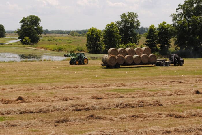 A tractor loads large hay bales onto a flatbed trailer attached to a truck in a field with trees and a pond in the background.